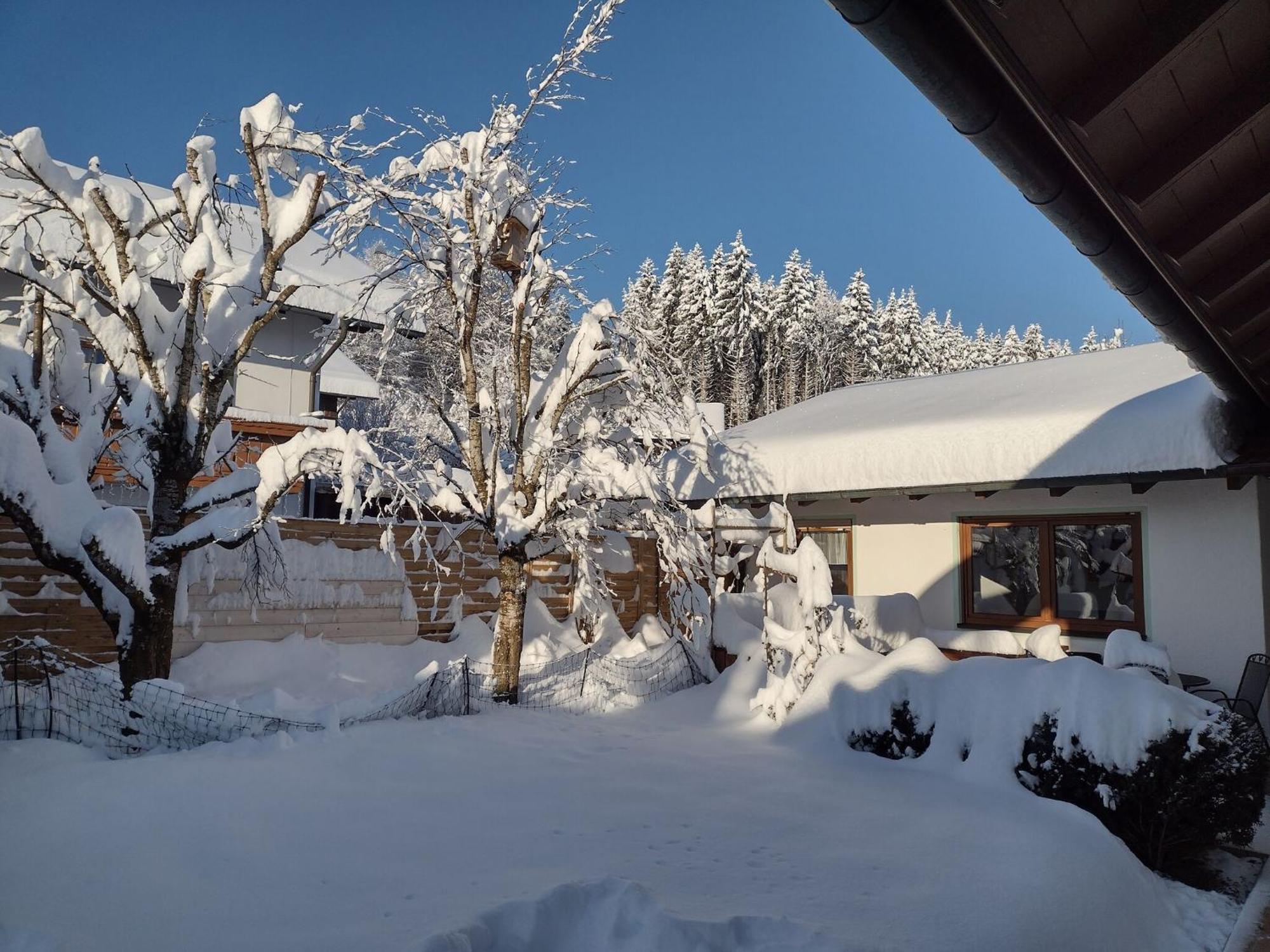Cosy Holiday Home With Sauna In The Allg U Burggen Bagian luar foto